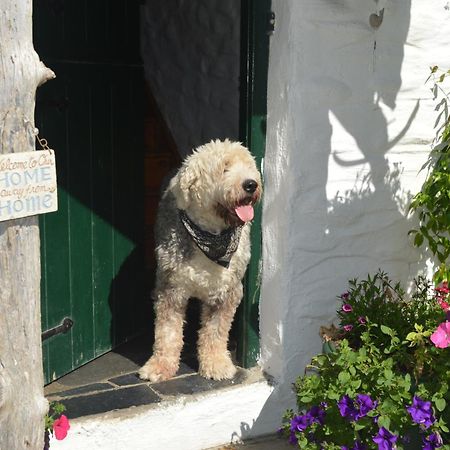 Lissyclearig Thatched Cottage Kenmare Eksteriør billede
