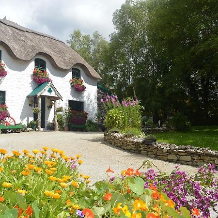 Lissyclearig Thatched Cottage Kenmare Eksteriør billede