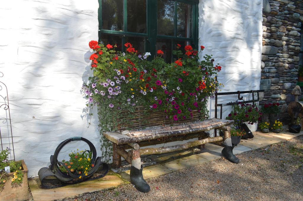 Lissyclearig Thatched Cottage Kenmare Eksteriør billede