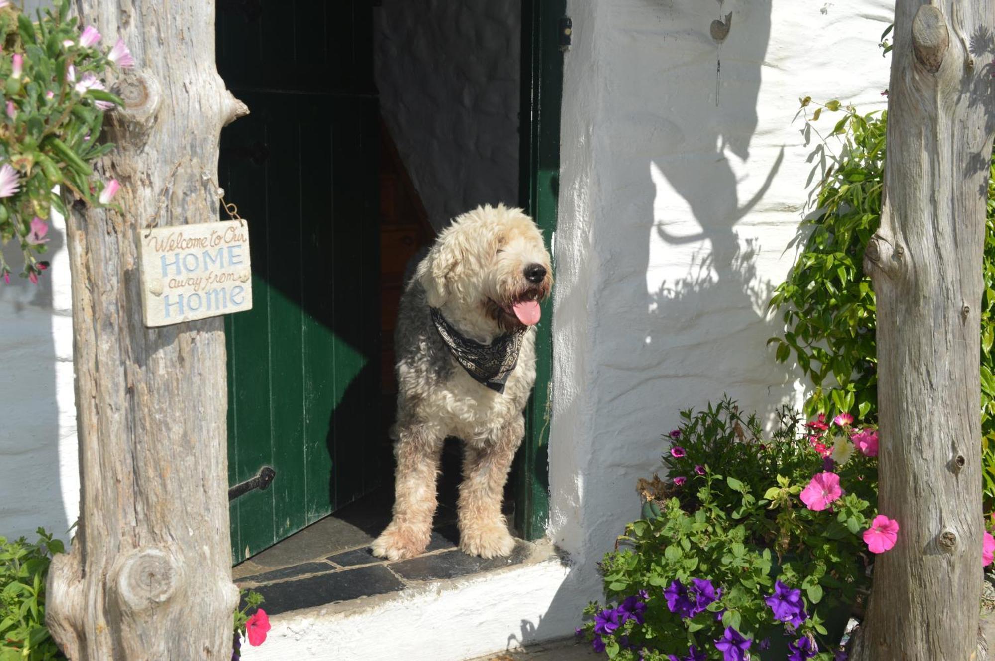 Lissyclearig Thatched Cottage Kenmare Eksteriør billede